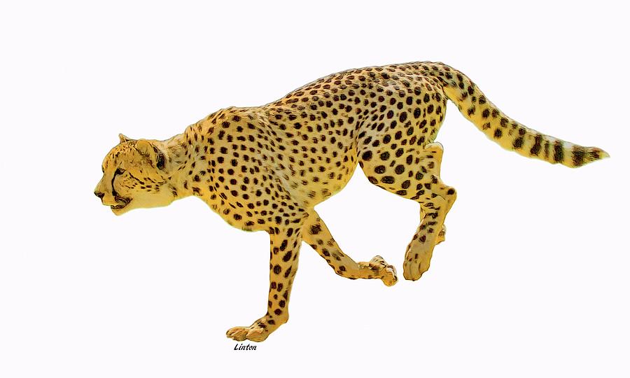 Running Cheetah 2 Digital Art by Larry Linton