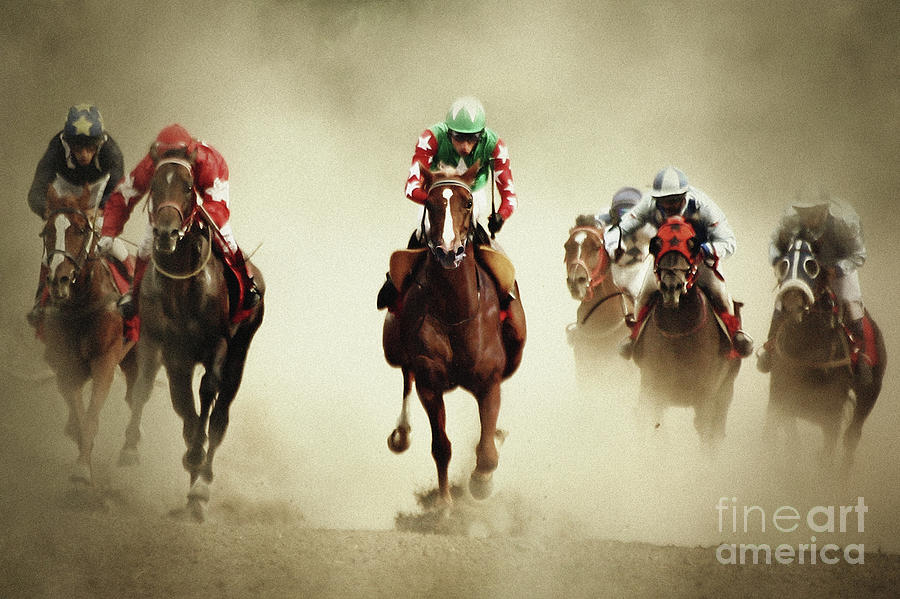Running horses in dust Photograph by Dimitar Hristov