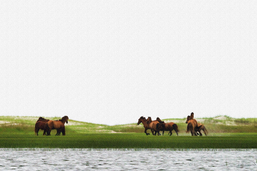 Running horses in the marsh 2 Photograph by Dan Friend