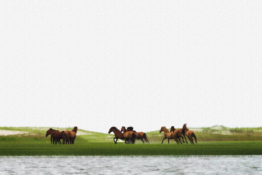 Running horses in the marsh 3 Photograph by Dan Friend