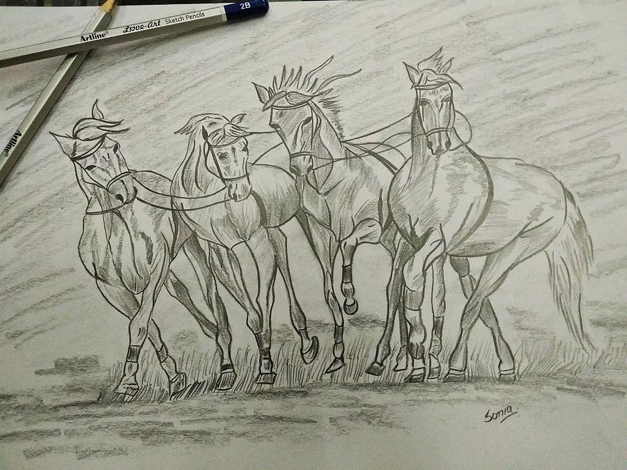 running horse drawing in pencil