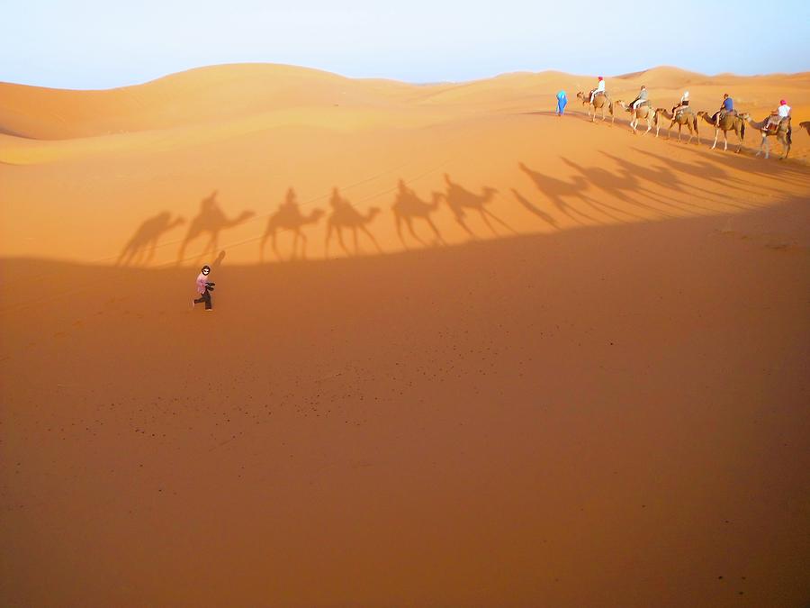 Running in the shadows Photograph by Exploramum Exploramum