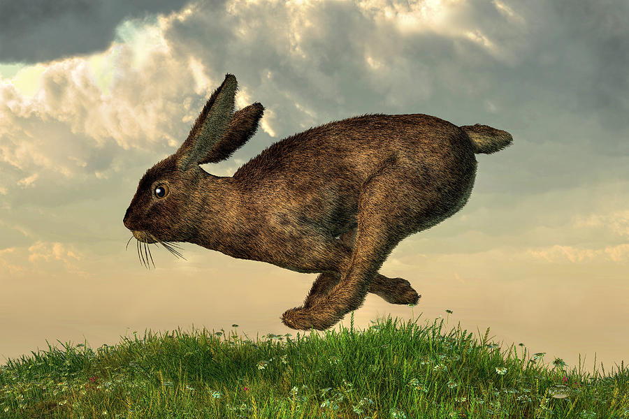 Running Rabbit Digital Art by Daniel Eskridge