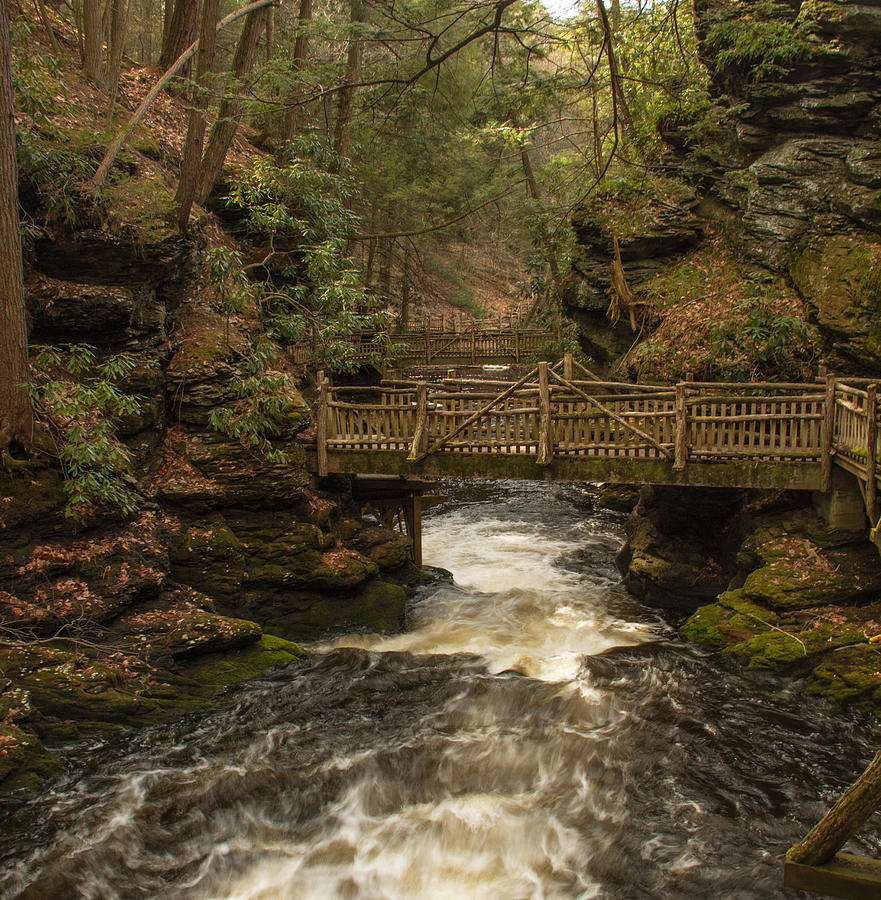 Running River Photograph by Barbara Blanchard - Fine Art America