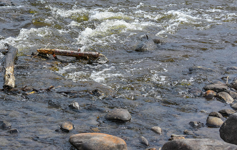 Kenai River Photograph - Running River by David Crewdson Kenai River Photograph - Running River by David Crewdson