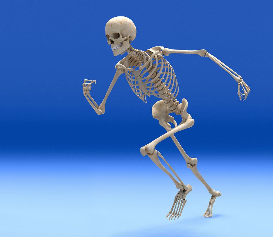 Sports Photograph - Running Skeleton, Artwork by Roger Harris