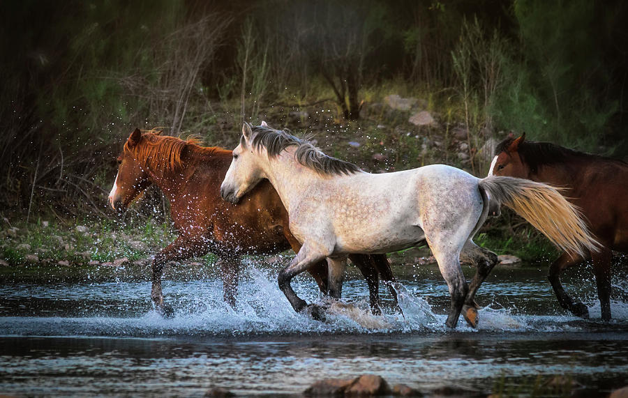 Running Wild On The River  Photograph by Saija Lehtonen