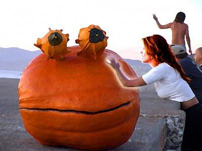 Rupert Pumpkin Photograph - Rupert Pumpkin Is Seen As God by Steven Polatnick Rupert Pumpkin Photograph - Rupert Pumpkin Is Seen As God by Steven Polatnick