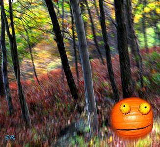 Rupert Pumpkin Photograph - Rupert Pumpkin Spotted In Millrift PA by Steven Polatnick Rupert Pumpkin Photograph - Rupert Pumpkin Spotted In Millrift PA by Steven Polatnick