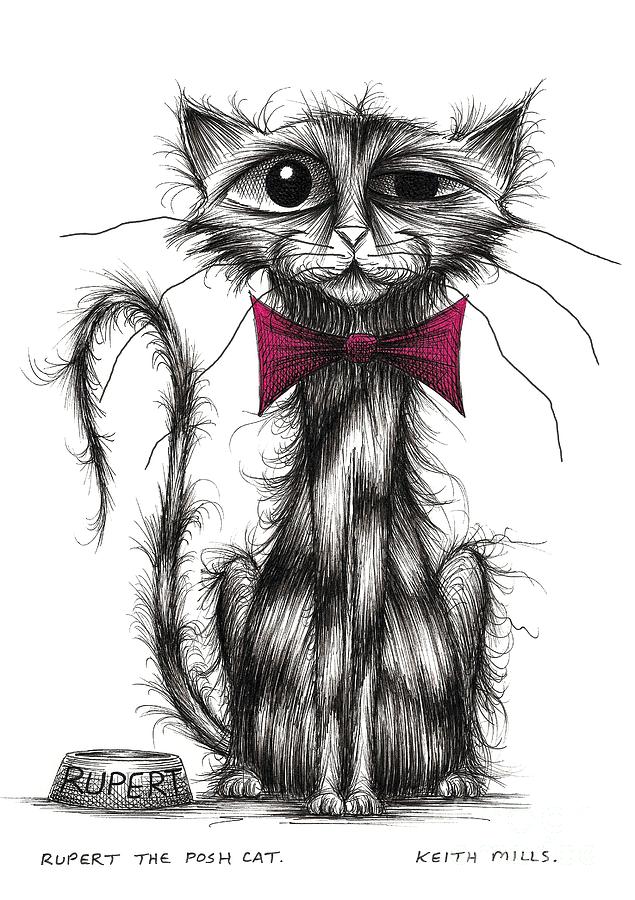 Rupert the posh cat Drawing by Keith Mills