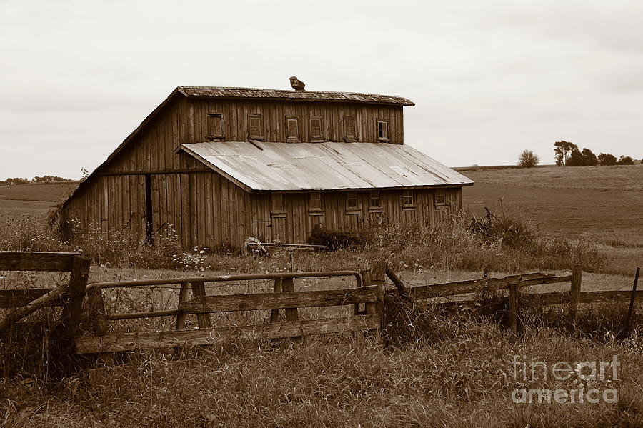 Rural Abandon 6990 Photograph by Ken DePue