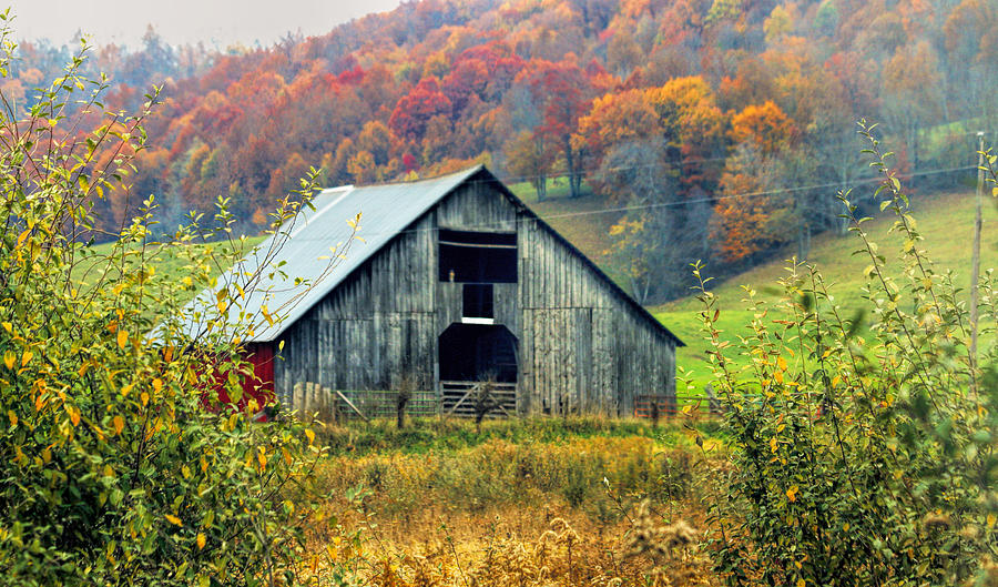 Rural America Photograph by Ola Allen