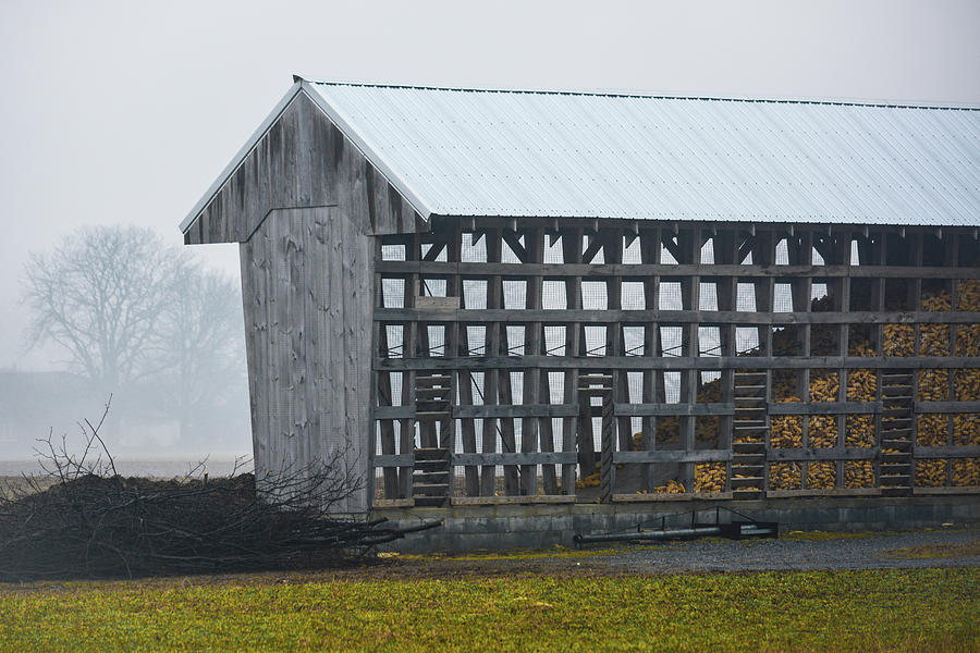 Rural Architecture Photograph by Tana Reiff
