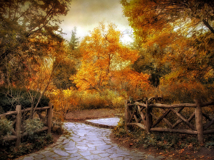 Rural Autumn Entrance Photograph by Jessica Jenney