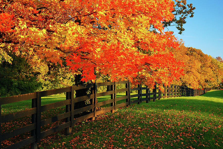 Rural autumn Photograph by James Kirkikis
