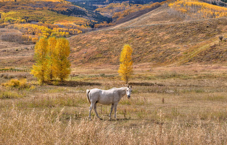 Rural Colorado Photograph by Shane Mossman