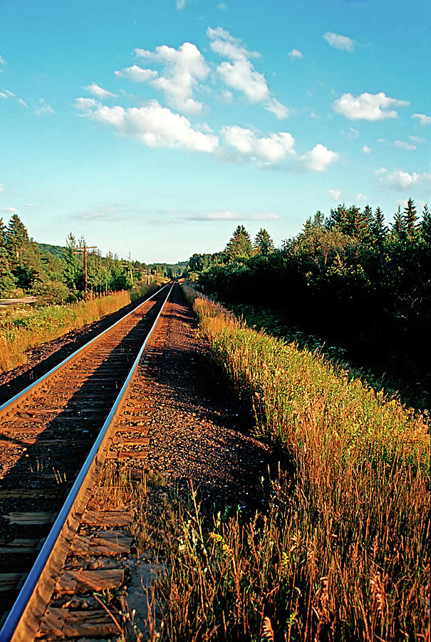 Rural country side train tracks by Peter Pauer Rural country side train tracks by Peter Pauer