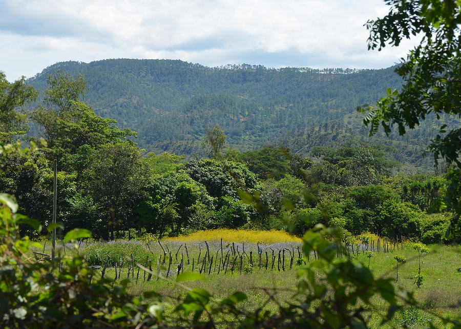 Rural Countryside outside Tegucigalpa Honduras Photograph by Carla Parris