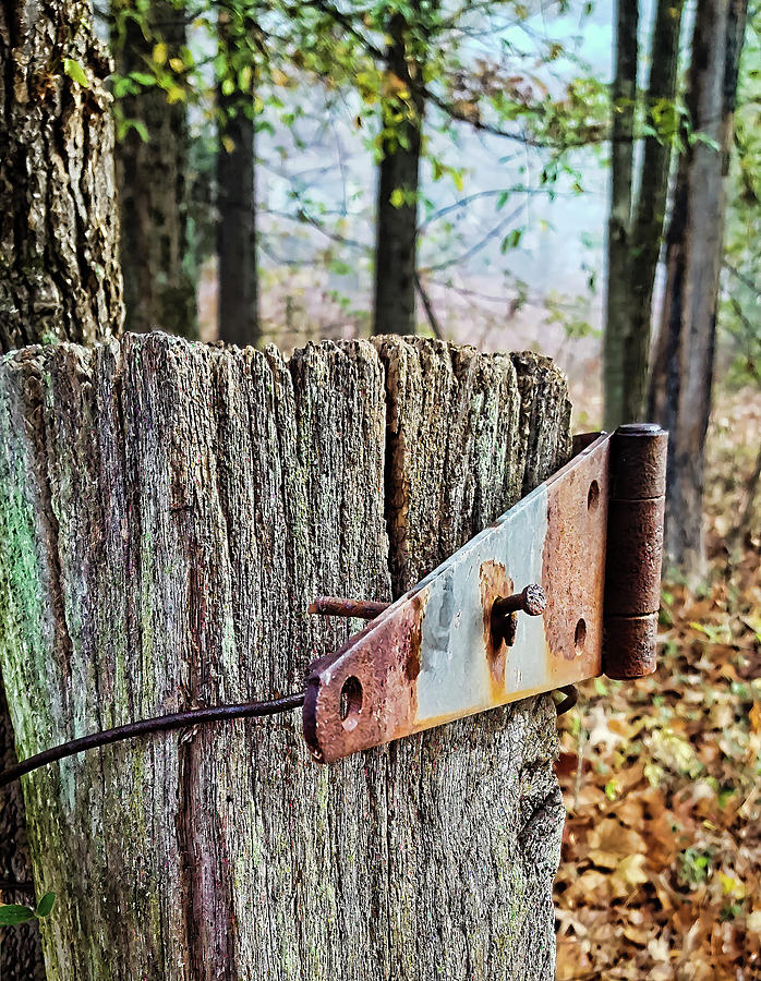 Rural Fence Post - Kentucky Photograph by Greg Jackson