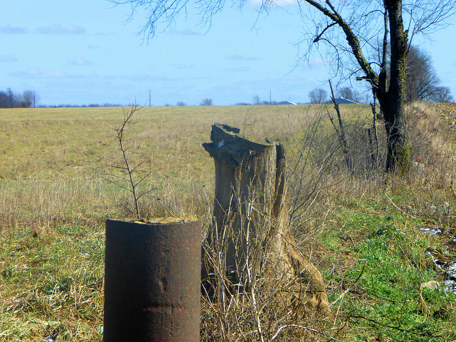 Rural Fencing Photograph