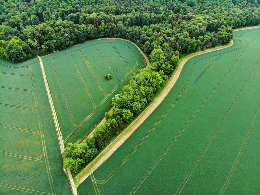 Rural green Germany fields and trees aerial Photograph by Matthias Hauser