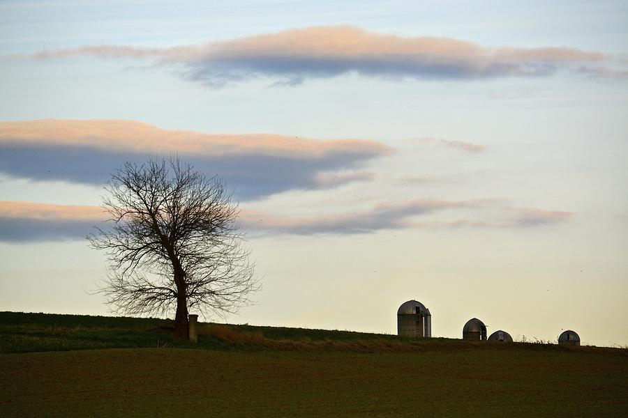 Rural Horizon with Peach Clouds Photograph by Tana Reiff