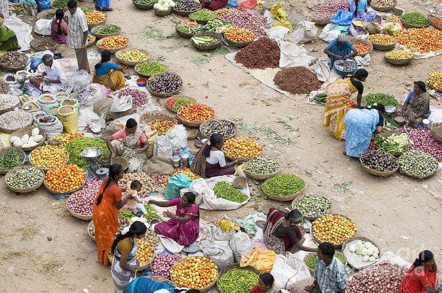 Vegetable Photograph - Rural Indian Food Market by Tim Gainey