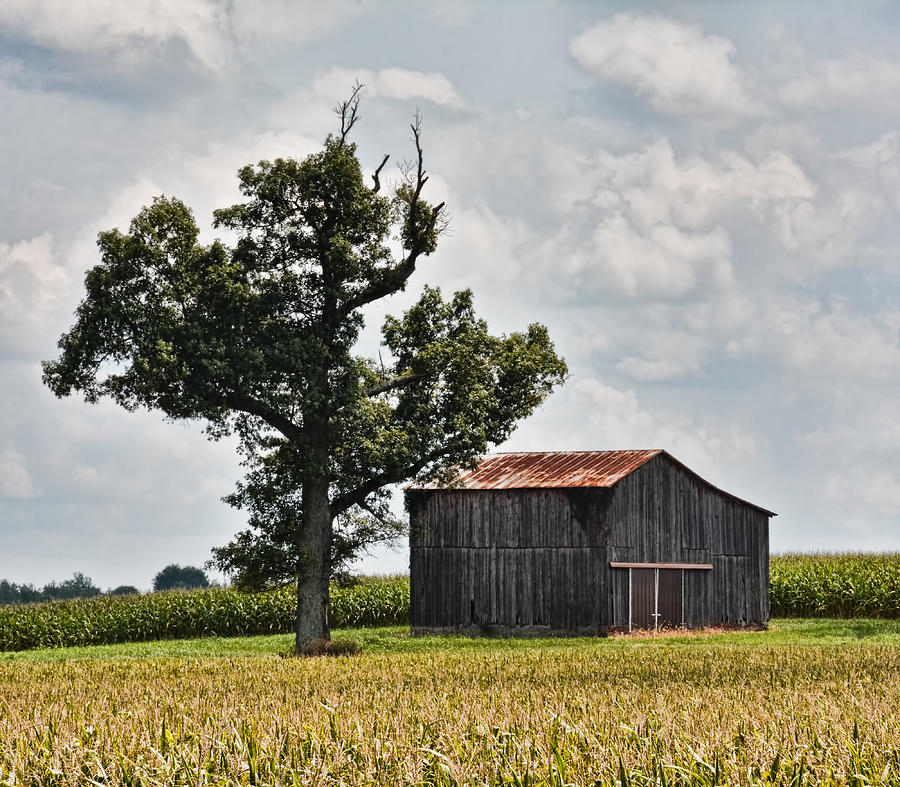 Rural Kentucky Barn 1 Photograph by Greg Jackson