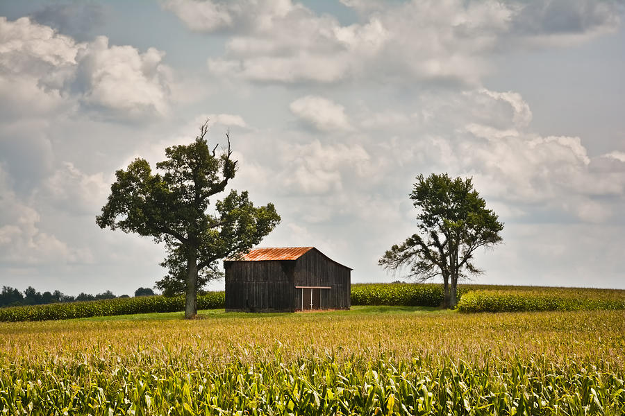 Rural Kentucky Barn 2 Photograph by Greg Jackson