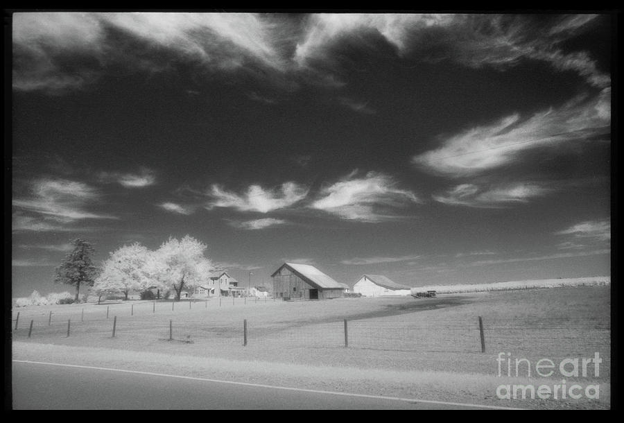 Rural Landscape, Black and White Infrared Photograph by Greg Kopriva
