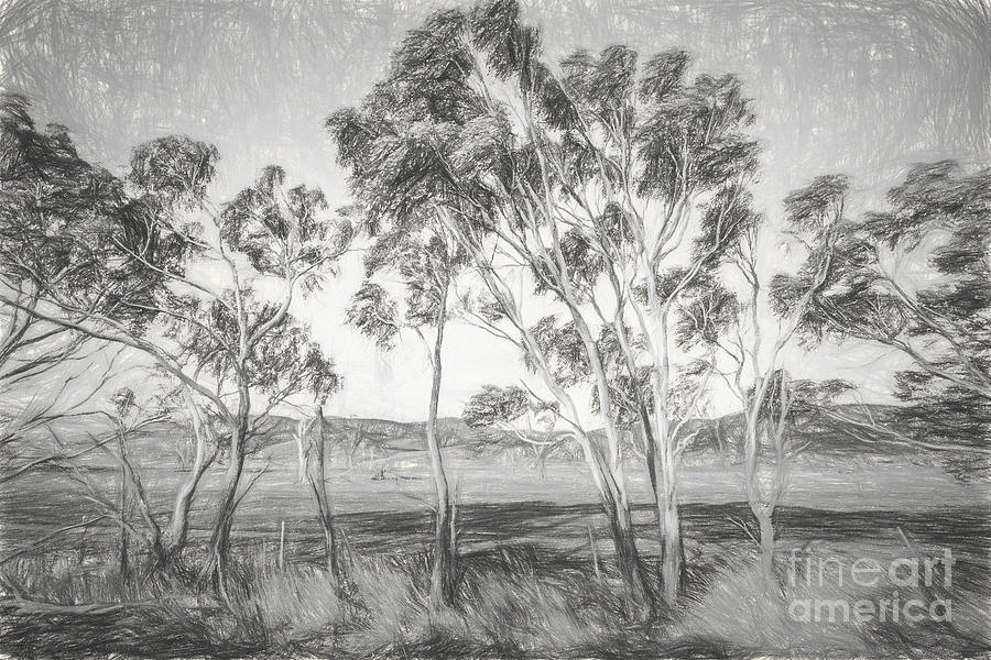 Rural landscape pencil sketch Photograph by Jorgo Photography