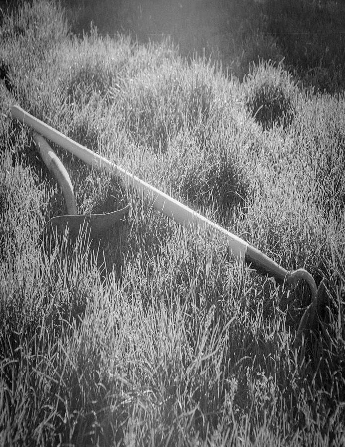 Rural Landscape Tools Photograph by Susan Crowell