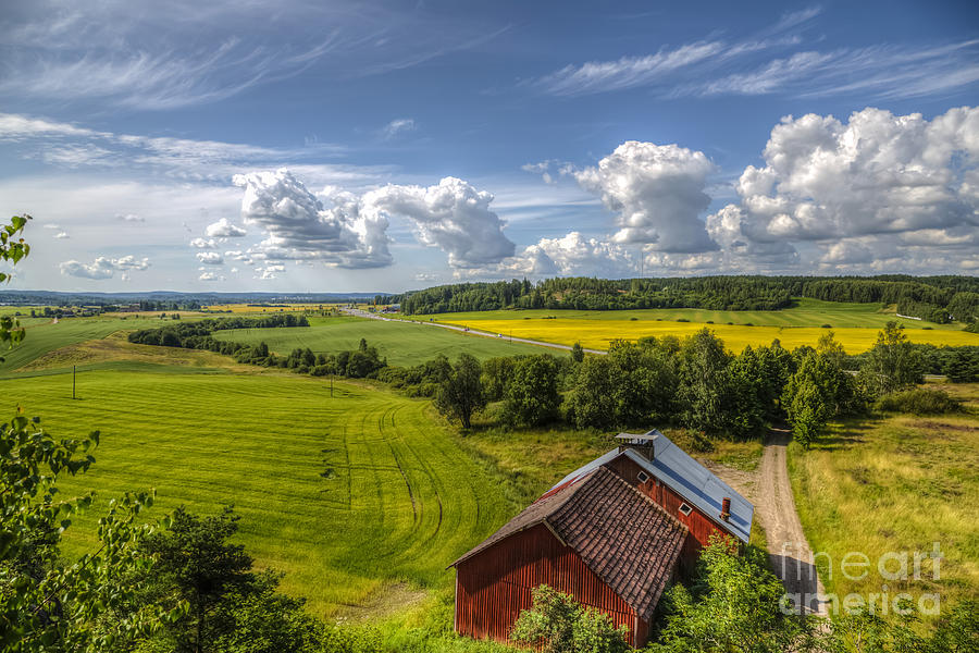 Nature Photograph - Rural Landscape by Veikko Suikkanen