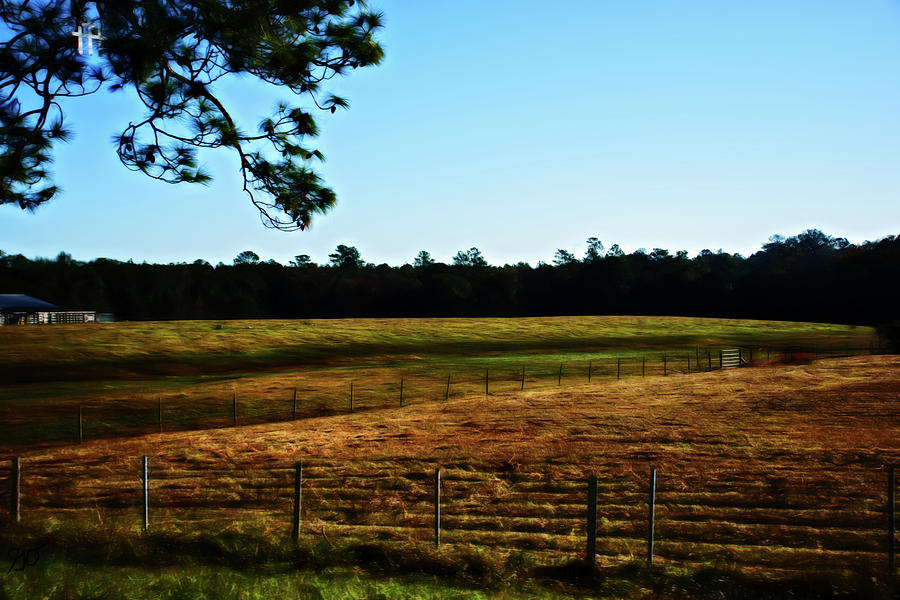 Rural Life Landscape Photograph