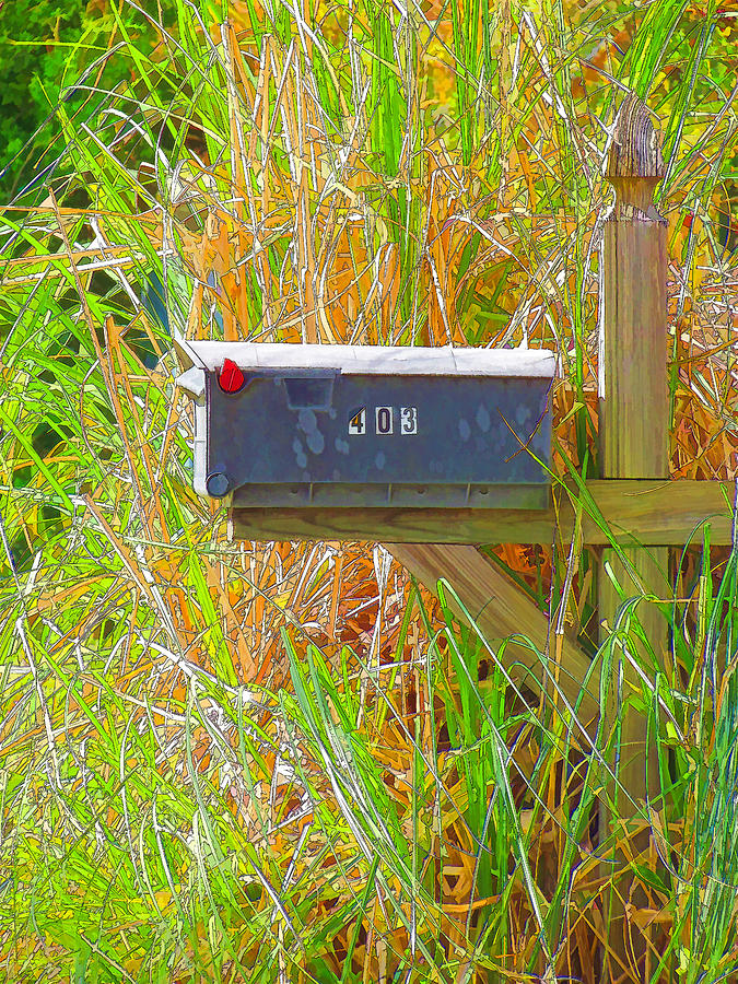 Rural mail boxes 1 Painting by Jeelan Clark