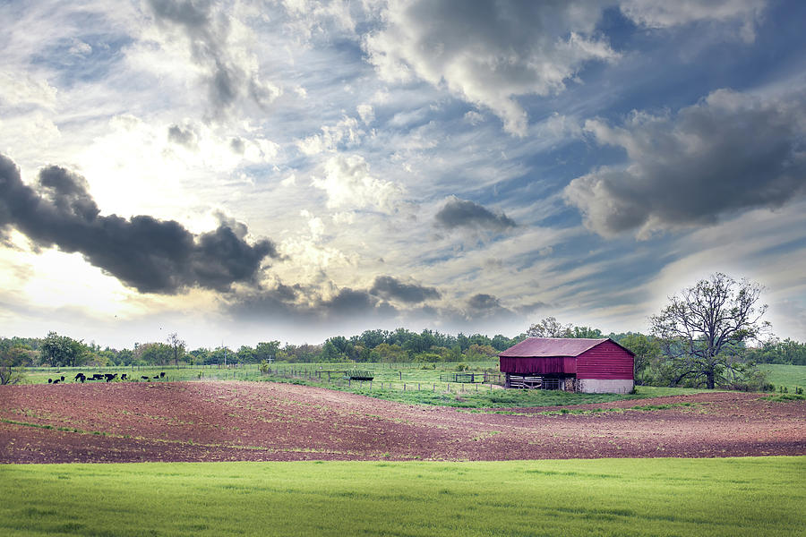 Rural Maryland farm in Spring Photograph by Patrick Wolf