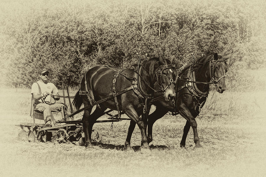 Rural Missouri Plowing with Horses Sepia DSC08210 Photograph by Greg Kluempers