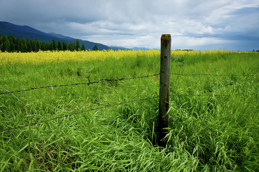 Landscape Photograph - Rural Montana by Idaho Scenic Images Linda Lantzy
