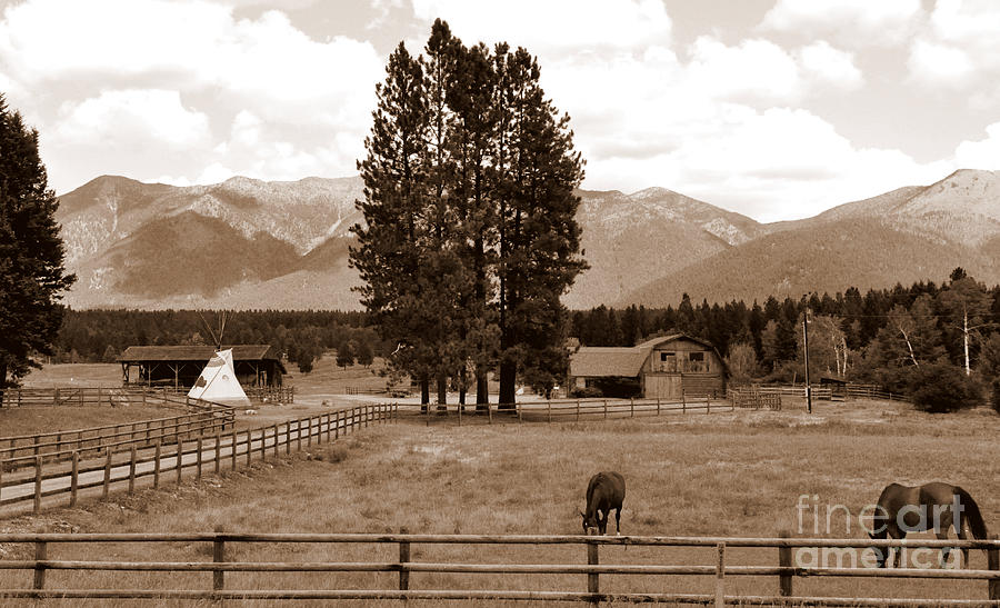 Rural Montana  Photograph by Tatyana Searcy