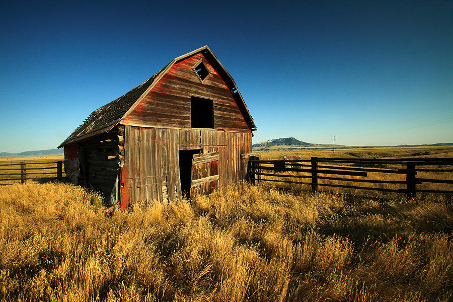Rural Noir Photograph by Todd Klassy