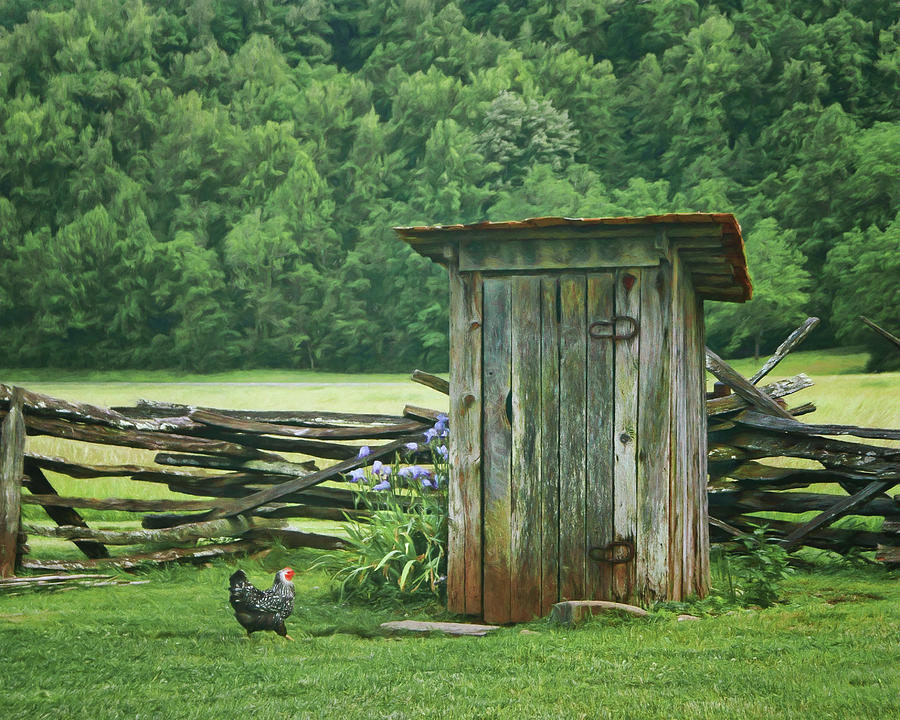 Chicken Photograph - Rural Outhouse by Nikolyn McDonald