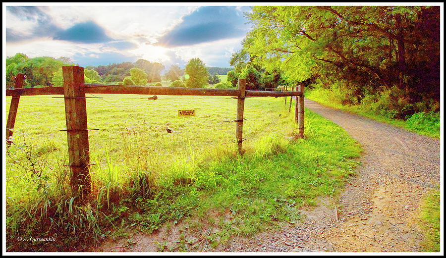 Rural Path Along a Cow Pasture Photograph by A Macarthur Gurmankin