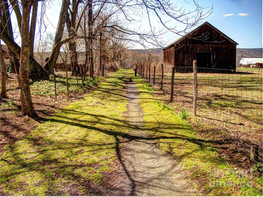 Barn Photograph - Rural Path by Betsy Zimmerli
