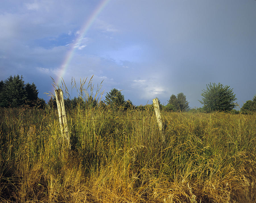 Rural Rainbow Photograph by Robert Potts