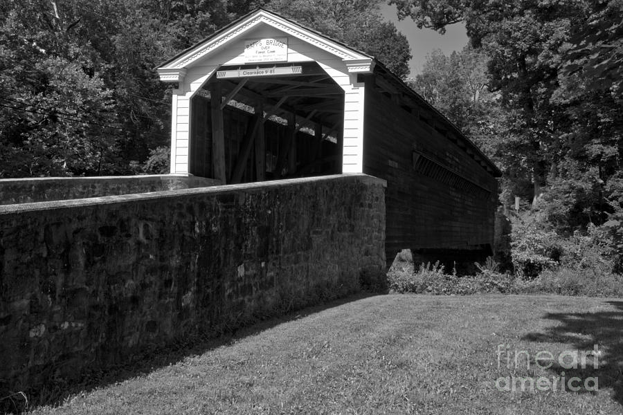 Rural Rapps Bridge Black And White Photograph by Adam Jewell