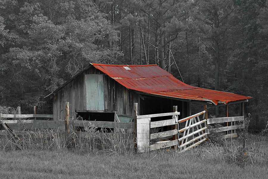 Rural Red - red roof barn rustic country rural Photograph by Jon Holiday