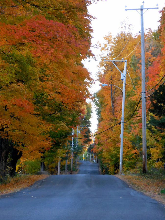 Rural road running along the maple trees in autumn 1 Painting by Jeelan Clark