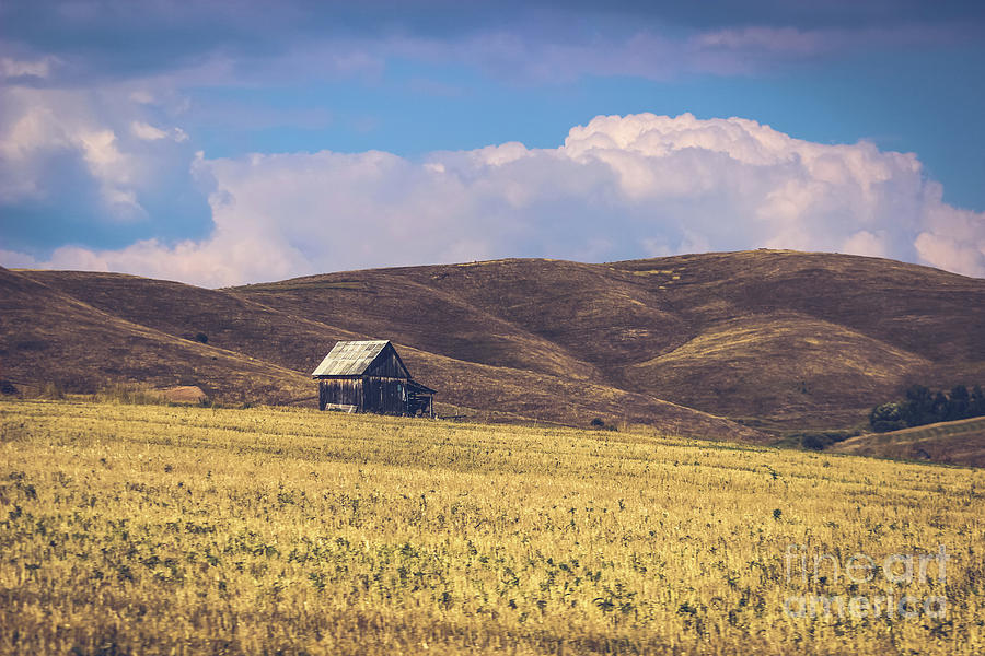 Rural Romanian landscape Photograph by Claudia M Photography