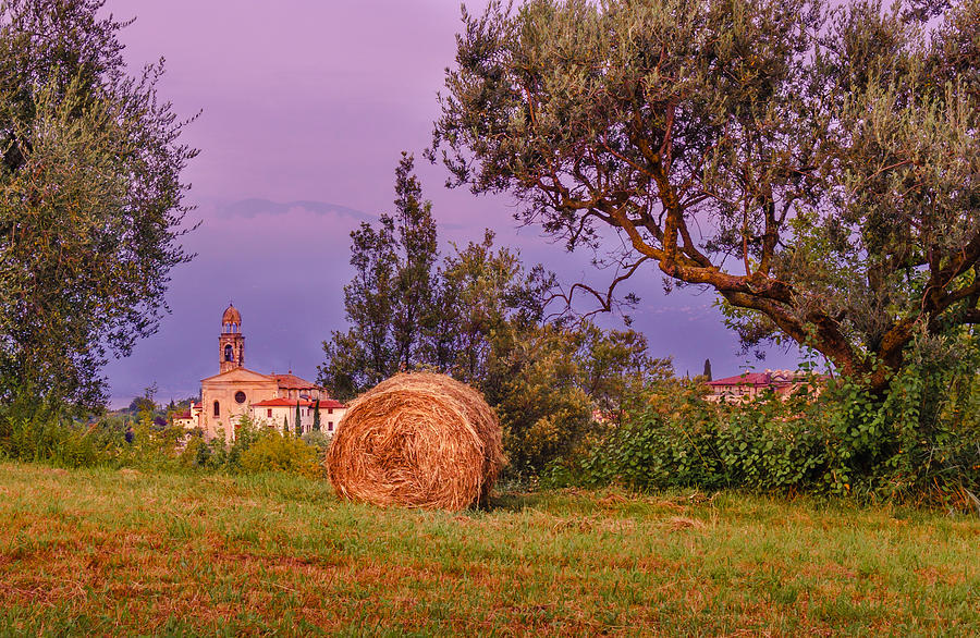 Rural scene in Lombardy Photograph by Dmytro Korol