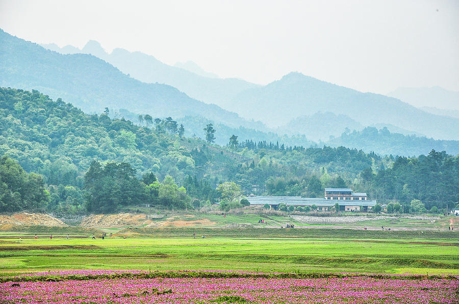 Rural scenery in spring Photograph by Carl Ning
